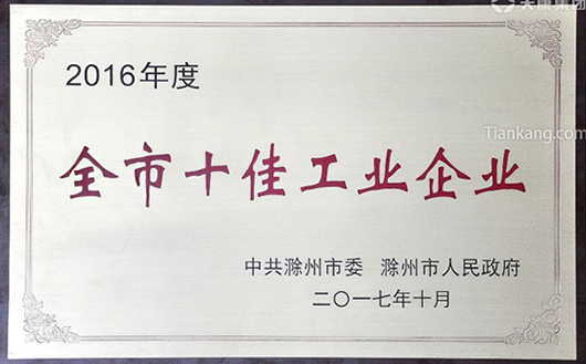 滁州市2016年度全市十佳工業(yè)企業(yè)